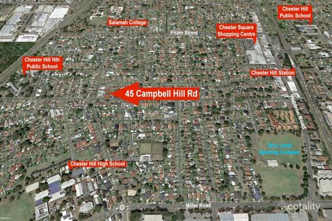Property photo of 45 Campbell Hill Road Chester Hill NSW 2162
