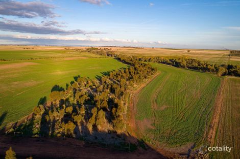 Property photo of 20 Hamley Bridge Road Barabba SA 5460