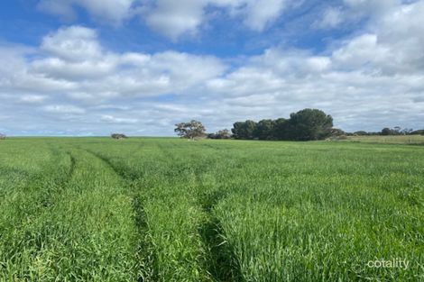 Lot 447 Boundary Rd, Burdett, SA 5253