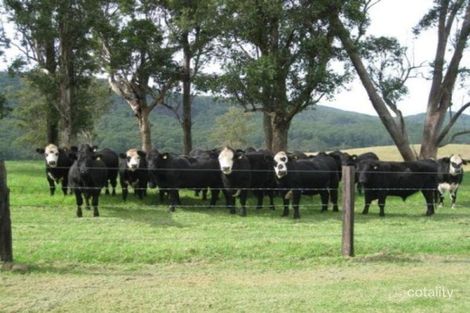 1264 Mill Creek Rd, Stroud, NSW 2425