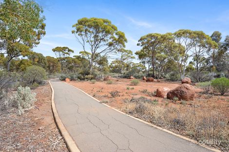 Property photo of 7 Windarra Way Hannans WA 6430