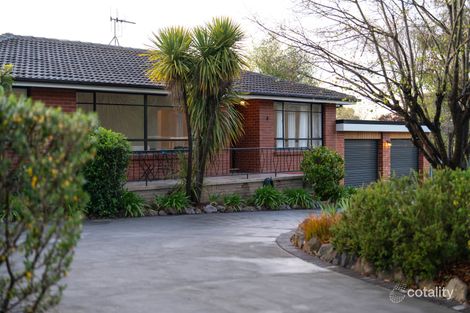Property photo of 4 Hodgeman Street Mawson ACT 2607