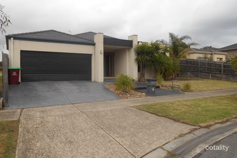 Property photo of 19 Orbison Court Endeavour Hills VIC 3802