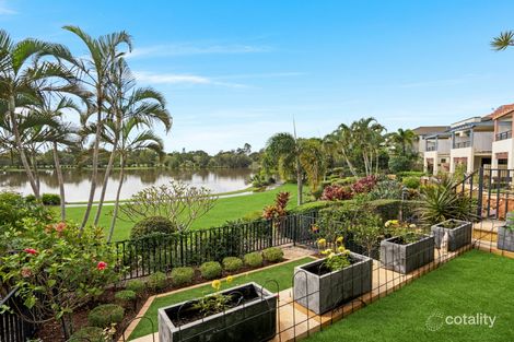 Property photo of 1031/1 The Cove Crescent Carrara QLD 4211