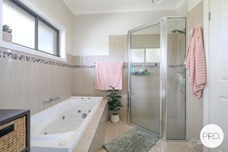 Property photo of 213 Mount Street East Albury NSW 2640