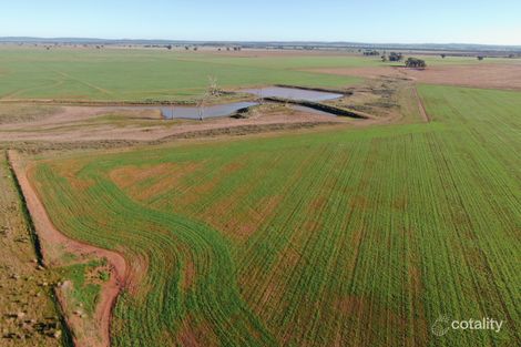 7452 Newell Hwy, Beckom, NSW 2665