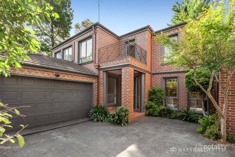 3/49 Cecil St, Kew, VIC 3101