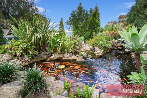 Property photo of 10 Polonia Avenue Plumpton NSW 2761