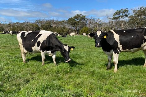 3580 Princes Hwy, Drumborg, VIC 3304