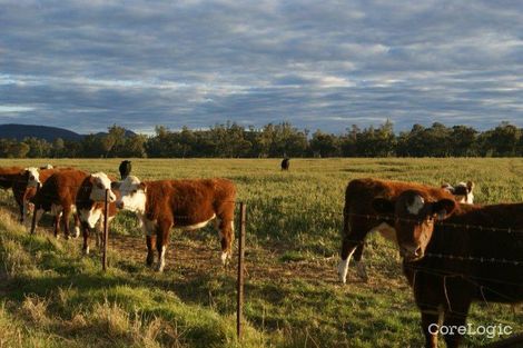 Property photo of 378 Old Blue Vale Road Gunnedah NSW 2380