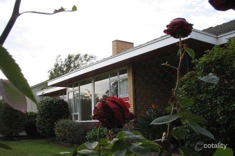 Property photo of 13 Menzies Avenue Brighton VIC 3186