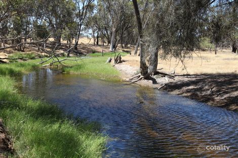 1187 Calingiri-New Norcia Rd, Old Plains, WA 6569