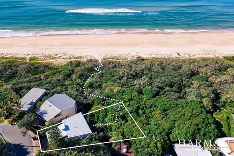 Property photo of 20 Park Crescent Sunshine Beach QLD 4567