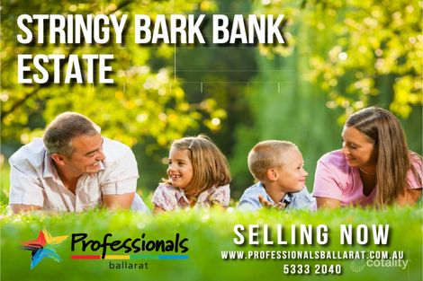 76 Springs Rd, Brown Hill, VIC 3350