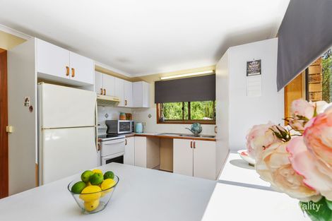 Property photo of 8 Palm Place Surfside NSW 2536