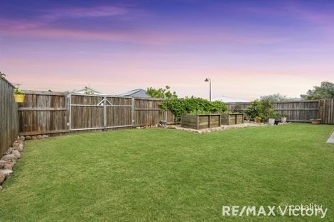 Property photo of 19 Coneflower Street Caboolture QLD 4510