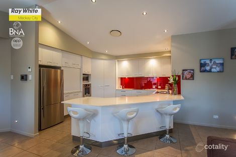 Property photo of 19 Gingham Street Glenella QLD 4740