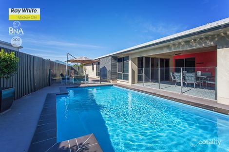 Property photo of 19 Gingham Street Glenella QLD 4740