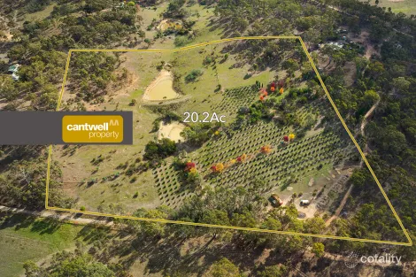 Molloys Lane, Strangways, VIC 3461