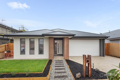 53 Kangaroo Paw Dr, Leopold, VIC 3224