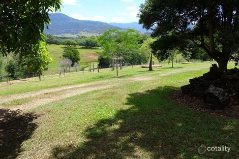 Property photo of 43 Tyalgum Ridge Road Tyalgum NSW 2484