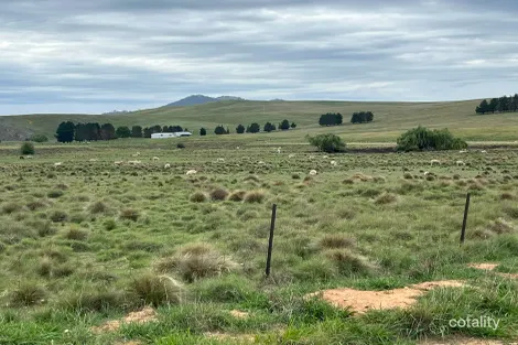 25 Karinya Plains Rd, Michelago, NSW 2620