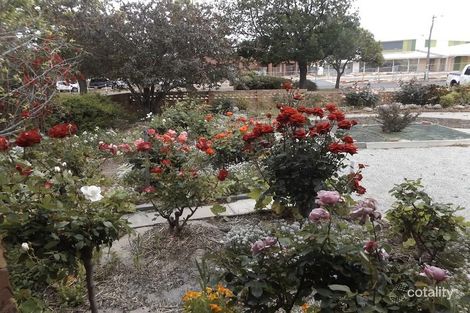 28 Kobeelya Ave, Katanning, WA 6317