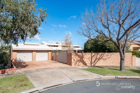 Property photo of 7 Pinner Court Shepparton VIC 3630