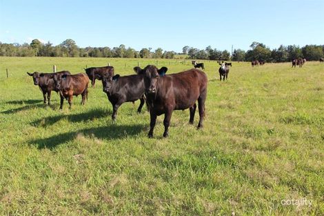 276 Gloucester Tops Rd, Faulkland, NSW 2422