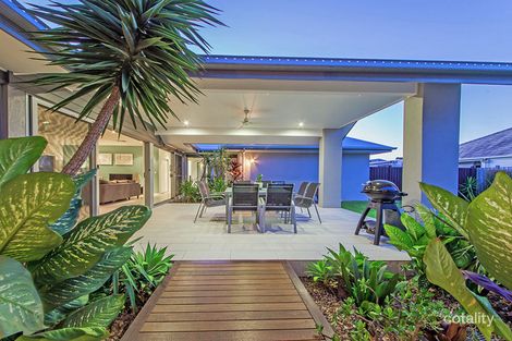 Property photo of 13 Macquarie Street Wakerley QLD 4154