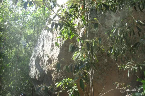 Property photo of 477 Doughboy Road Doughboy QLD 4671