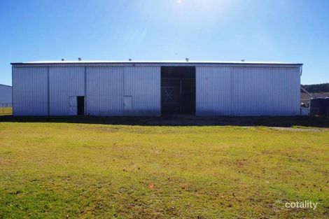 Property photo of 1205 Elsmore Road Elsmore NSW 2360