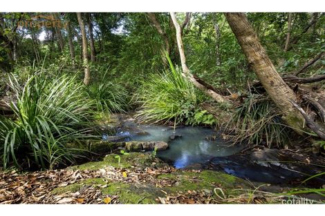 Property photo of 19 Wesley Avenue Donnellyville NSW 2447