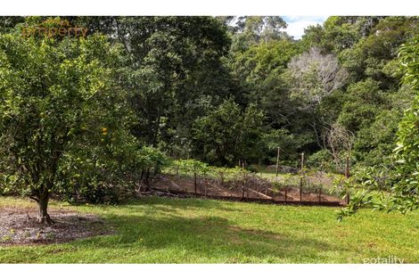 Property photo of 19 Wesley Avenue Donnellyville NSW 2447