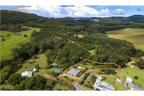Property photo of 19 Wesley Avenue Donnellyville NSW 2447