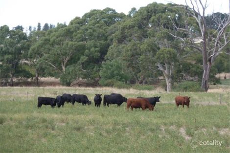 Property photo of 23 Noble Road Stanley Flat SA 5453