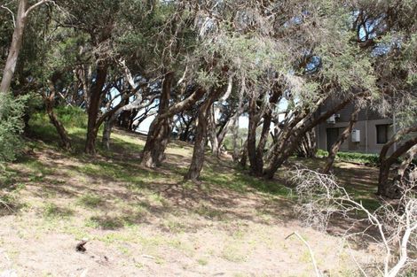 Property photo of 17 Nalong Street Rye VIC 3941