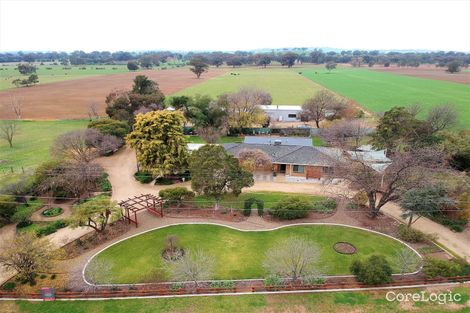 44 Rosevale Dr, Lake Albert, NSW 2650