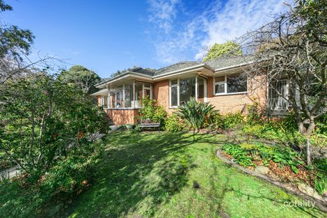 Property photo of 48 Laburnum Street Blackburn VIC 3130