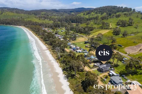 85 Big Roaring Beach Rd, Surveyors Bay, TAS 7116