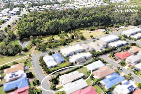 Property photo of 17 Silver Gull Street Coomera QLD 4209