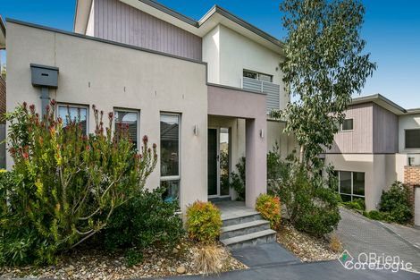 Property photo of 5/33 Culcairn Drive Frankston South VIC 3199