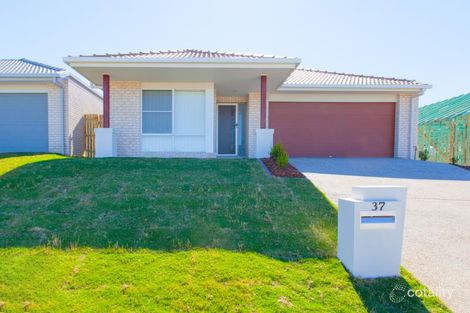 37 Tribeca Cct, Coomera, QLD 4209