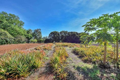 Property photo of 55 Dichondra Road Howard Springs NT 0835