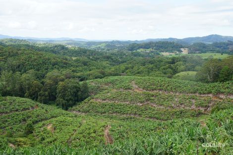 Property photo of 761 Smiths Creek Road Stokers Siding NSW 2484