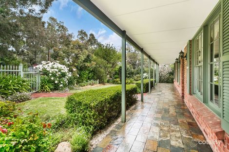 Property photo of 3 Cork Street Athelstone SA 5076
