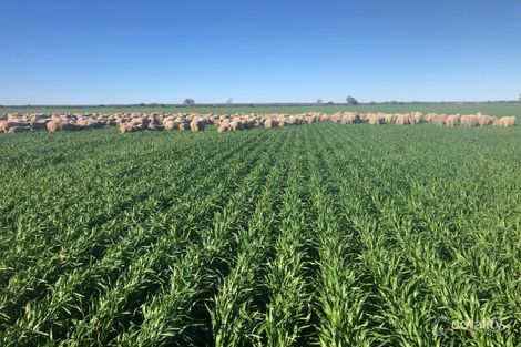 2159 Mouroubra Rd, Tampu, WA 6472