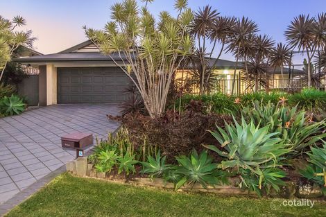 Property photo of 6 Stockport Court Reedy Creek QLD 4227