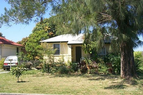 Property photo of 31 Morrison Avenue Mullumbimby NSW 2482