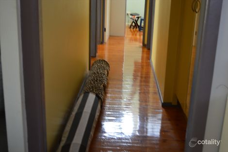 Property photo of 20 Rosford Street Smithfield NSW 2164